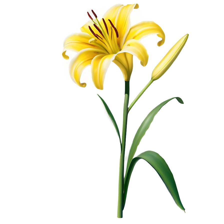 Lily Flower With Butterfly Png Gsv PNG
