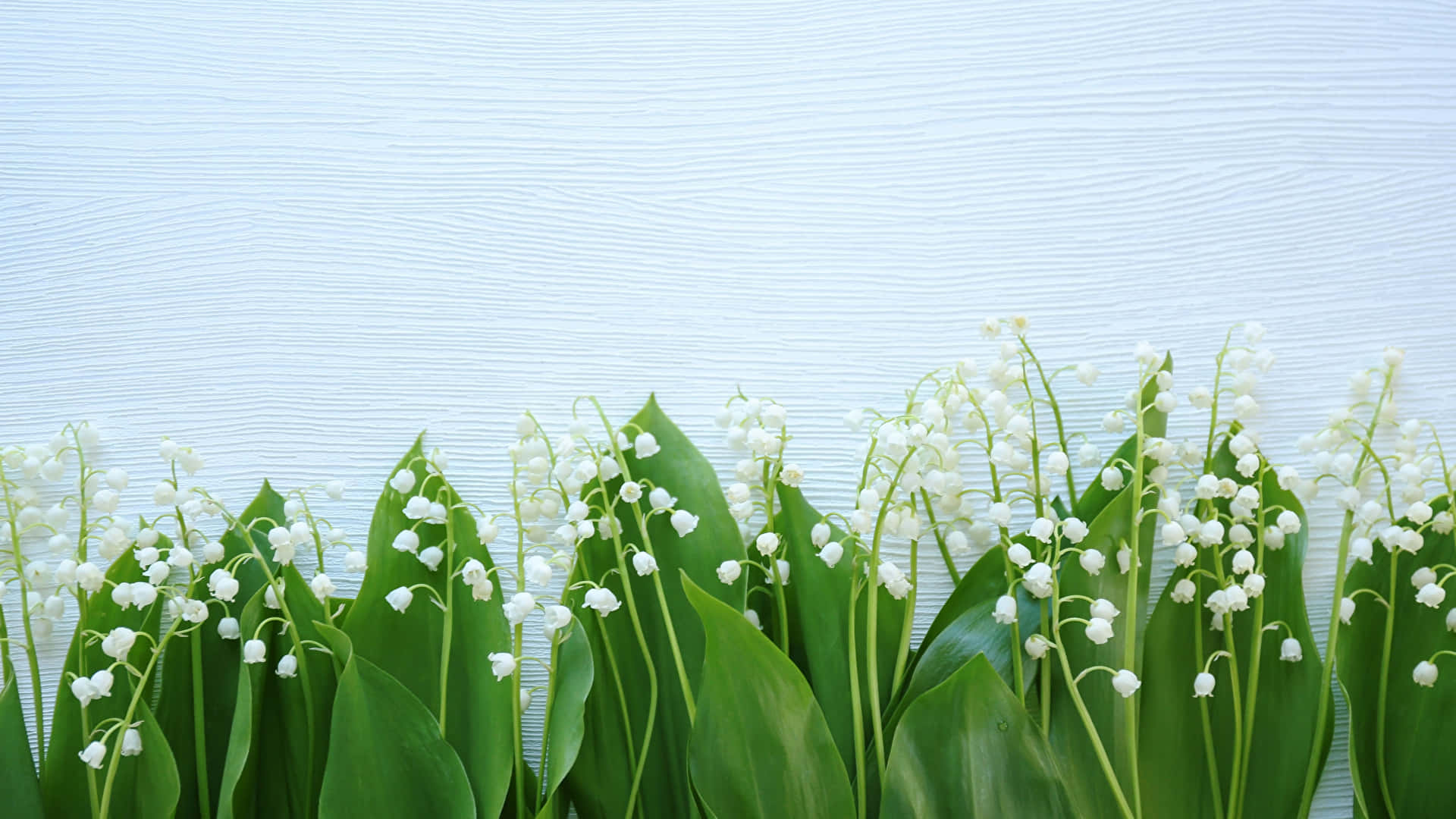 Lilyofthe Valley Floral Arrangementon Textured Background Wallpaper