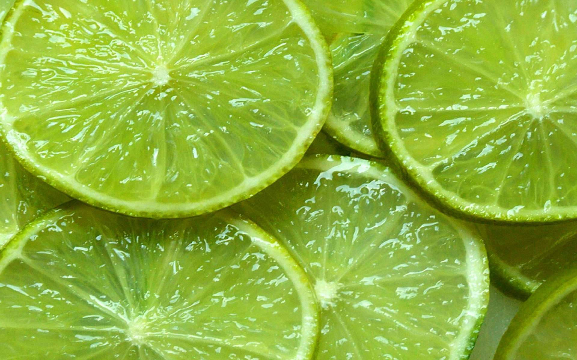 Lime skåret i tynde skiver Wallpaper