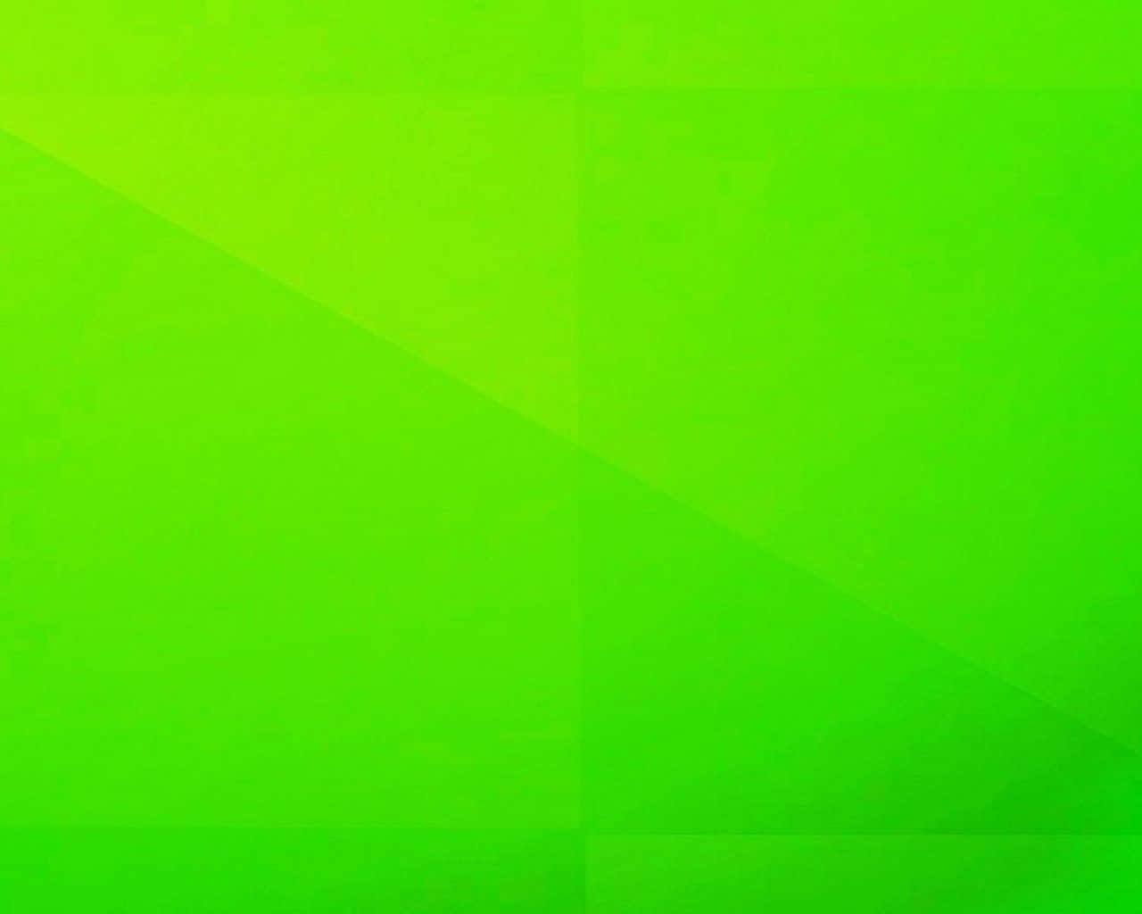 Lime Green Gradient Background Wallpaper