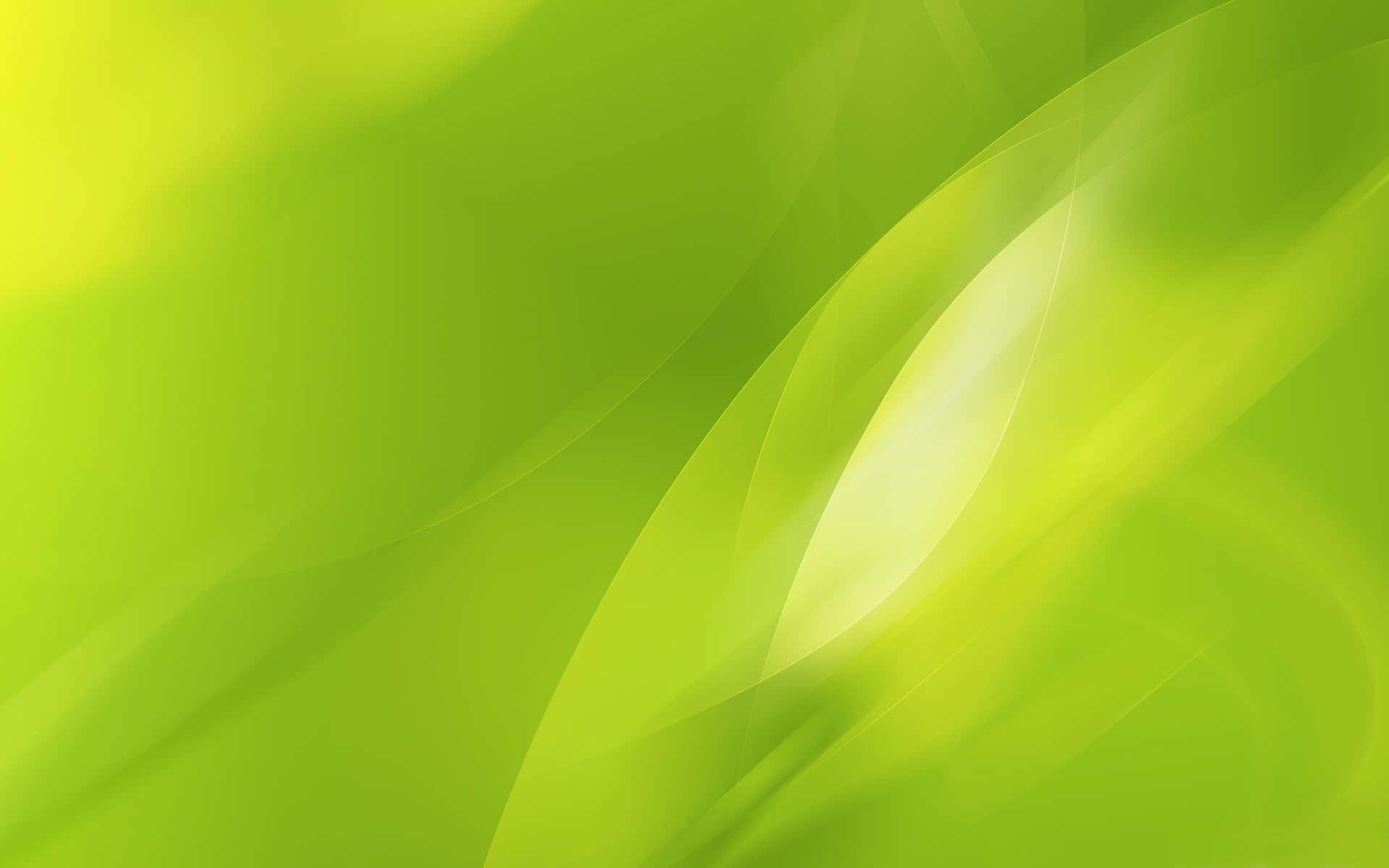 Fondoverde Lime Vibrante Sfondo