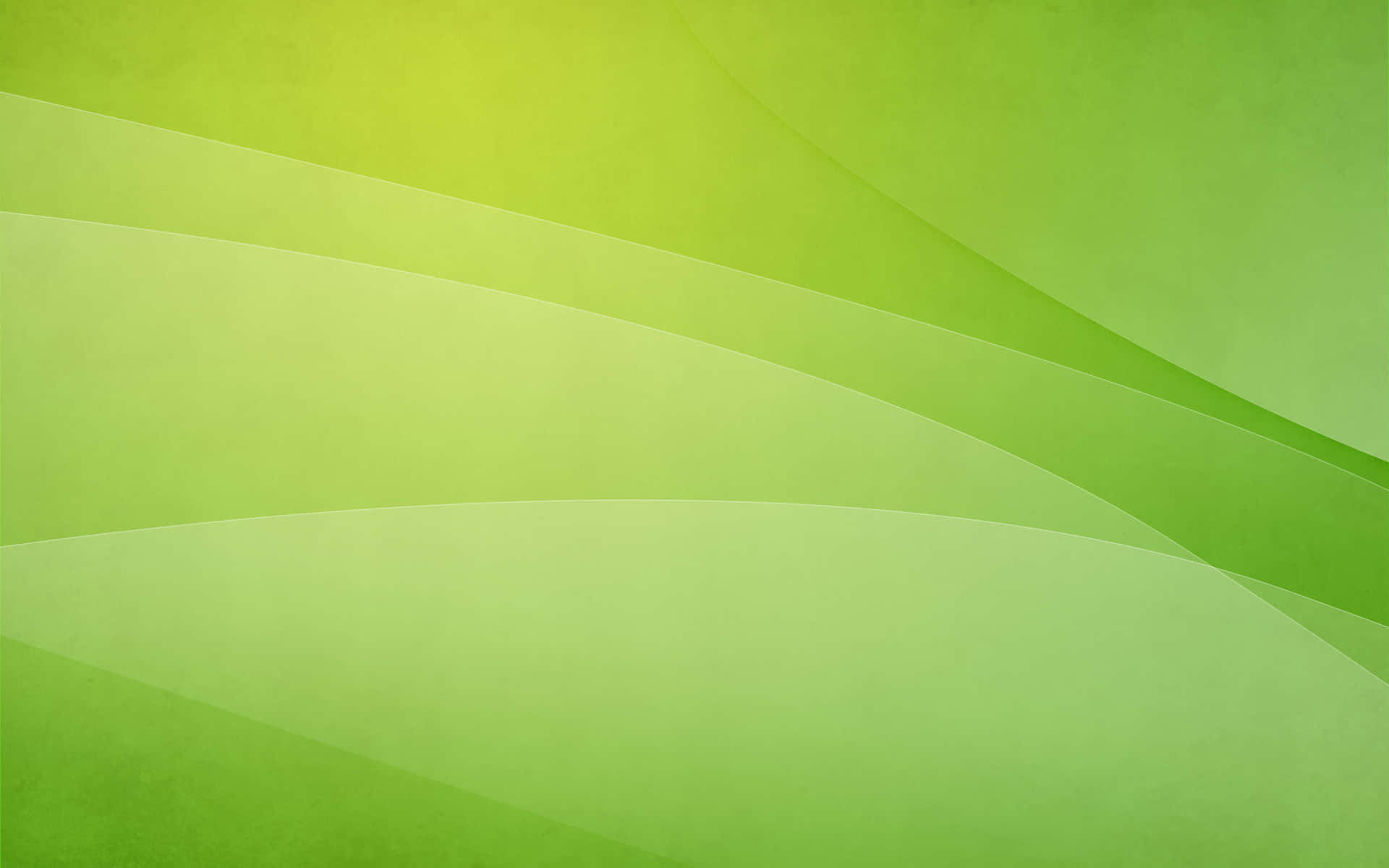 100+] Lime Green Backgrounds
