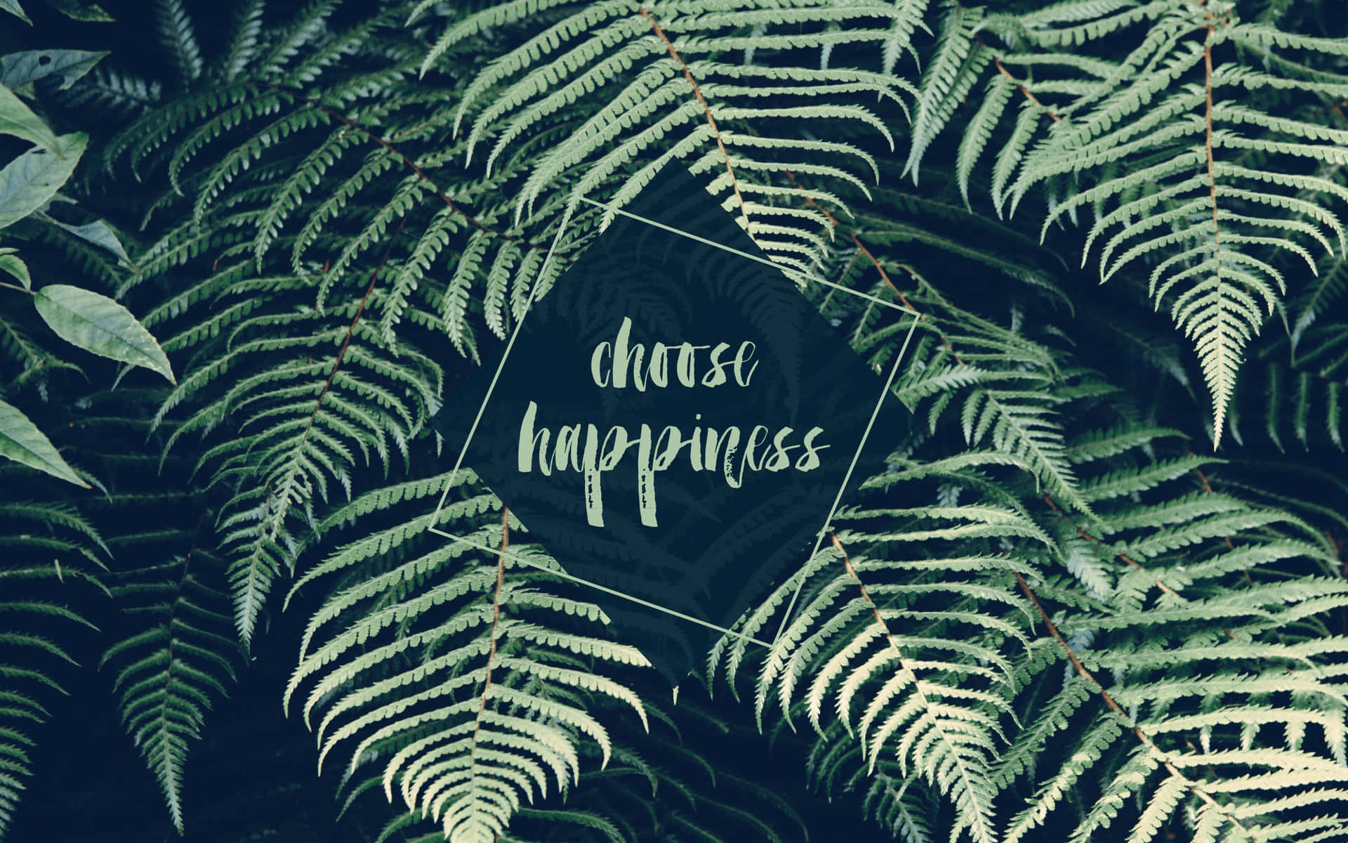 Lime Green Aesthetic Choose Happiness Wallpaper