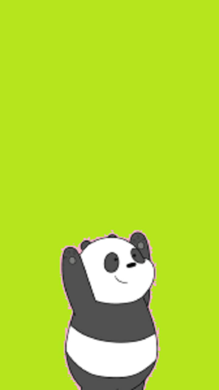 Lime Panda Vi Bare Bjørne Wallpaper