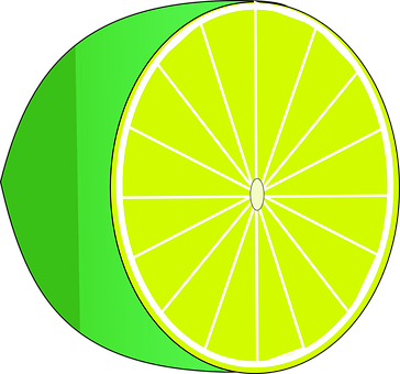 Lime Slice Vector Illustration PNG