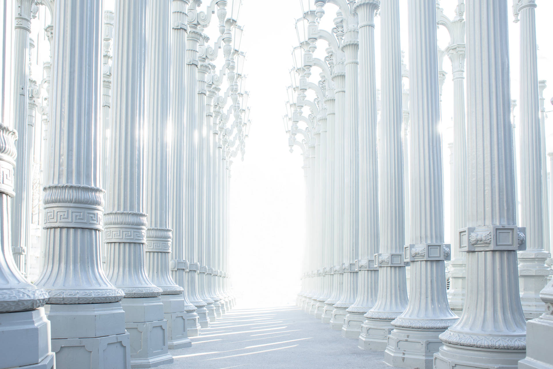 Stunning photography of line of tall and pristine white pillars during daytime. 