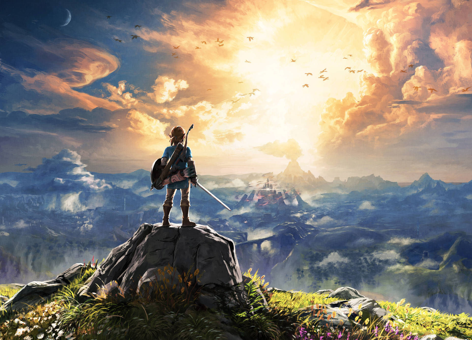 Link Zelda Breath Of The Wild Wallpaper