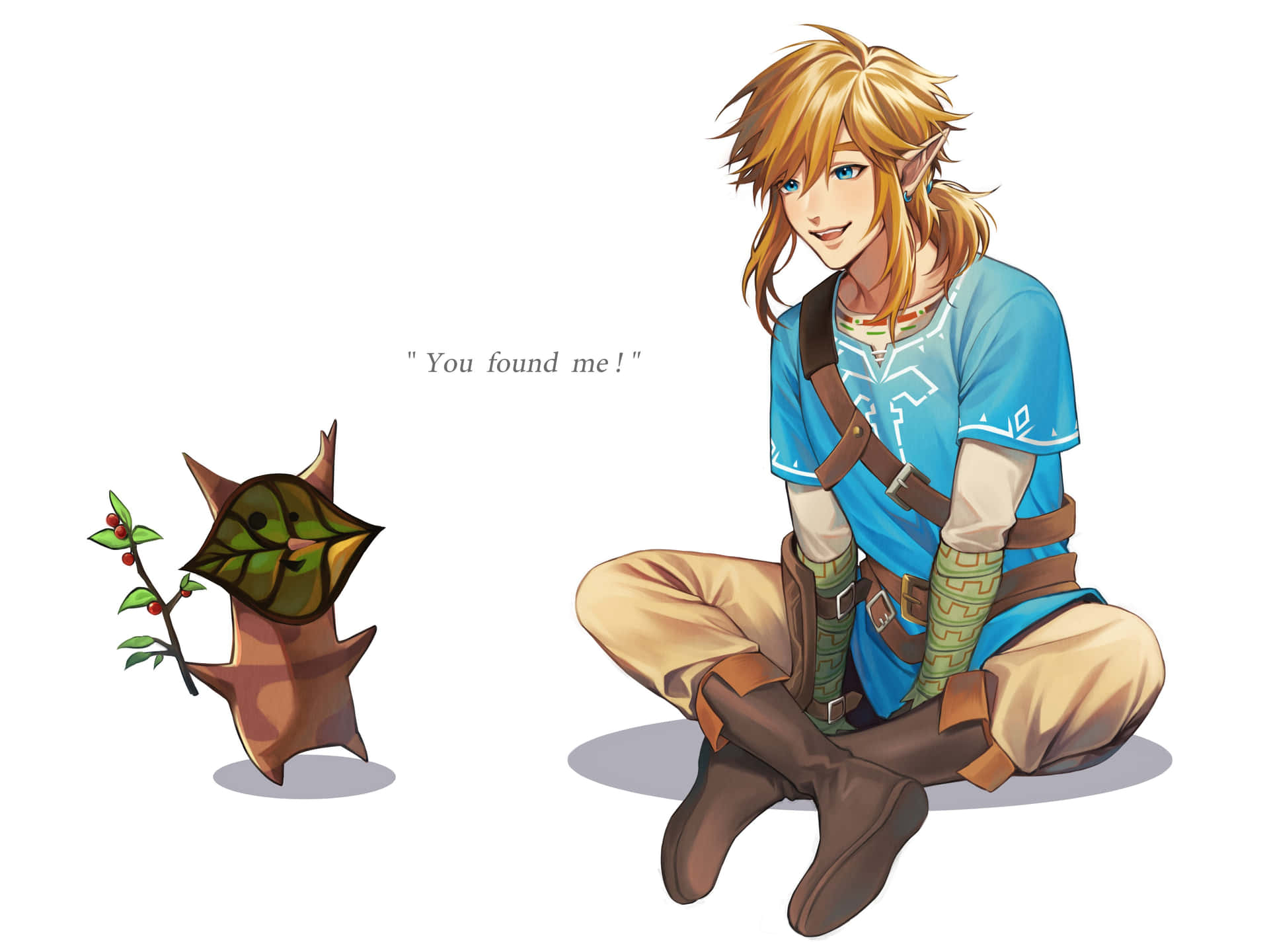 Link Og Korok Møte Bakgrunnsbildet