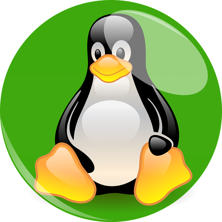 Linux Mascot Tux Illustration PNG