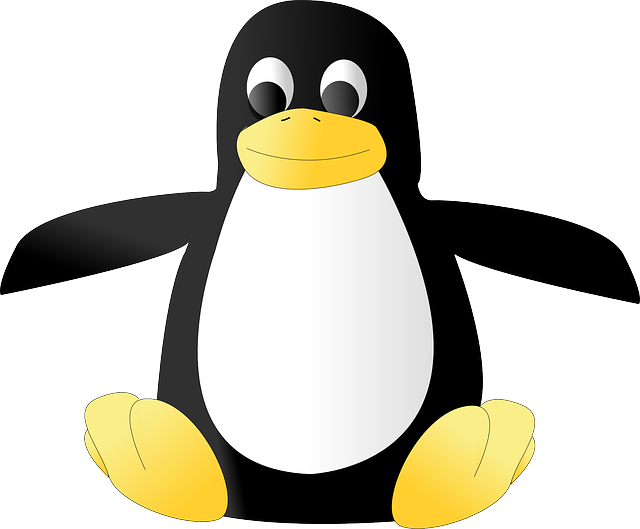 Linux Mascot Tux Penguin PNG