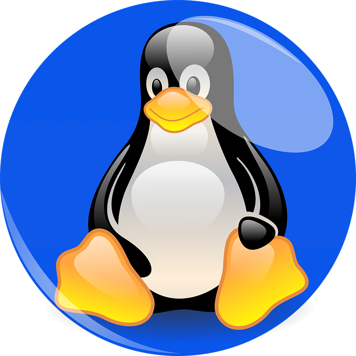 Linux Mascot Tux Penguin PNG