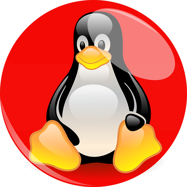 Linux Mascot Tux Red Background.png PNG