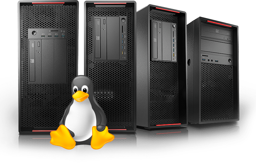 Linux Mascot With Servers PNG