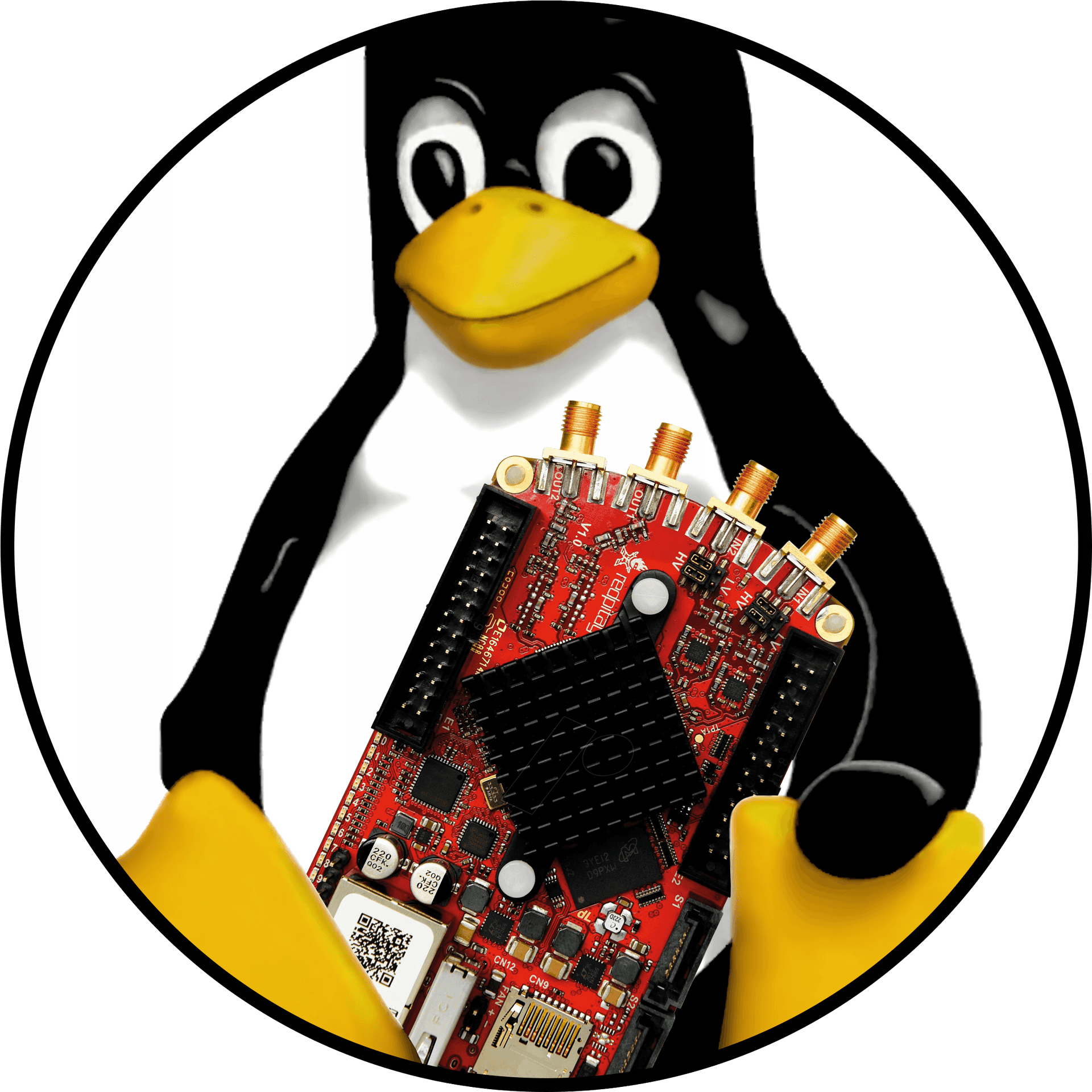 Linux Penguin Holding Motherboard PNG