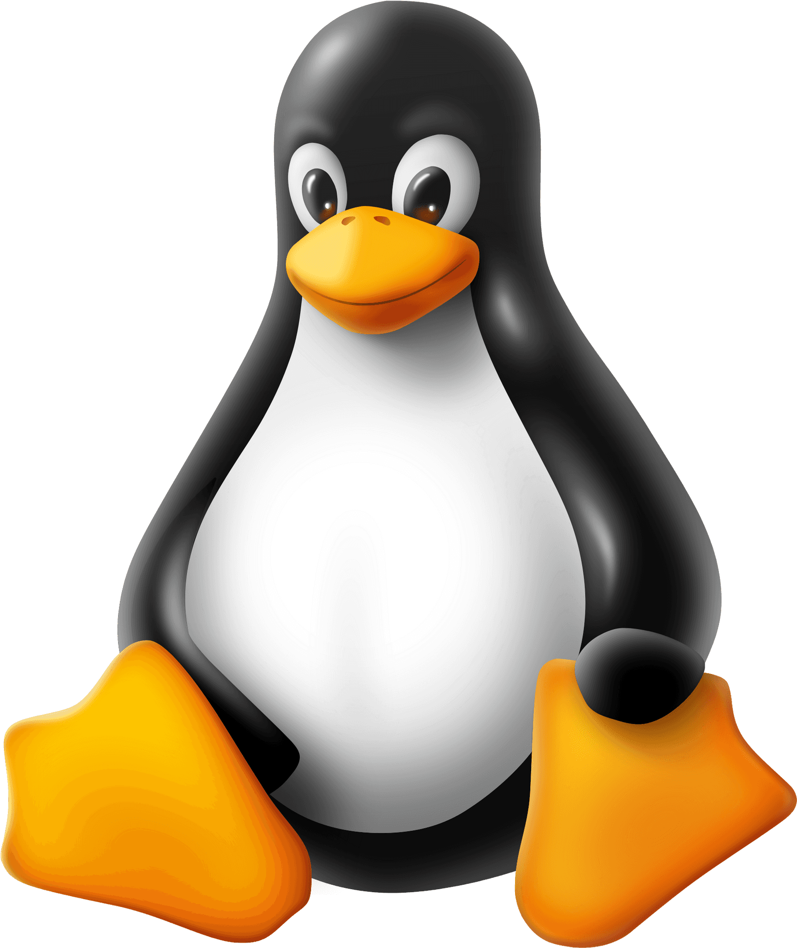 Linux Penguin Mascot PNG