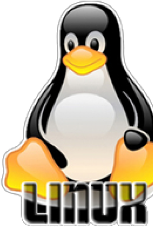 Linux Penguin Mascot.png PNG
