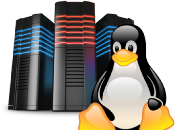 Linux Penguinand Servers.png PNG