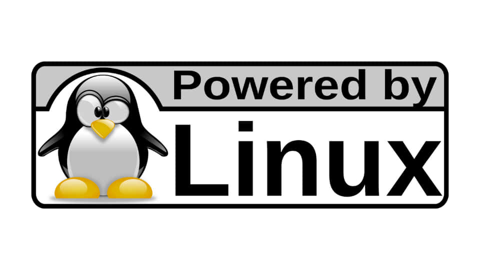 Lapotenza Di Linux In Esecuzione Su Hardware Moderno.