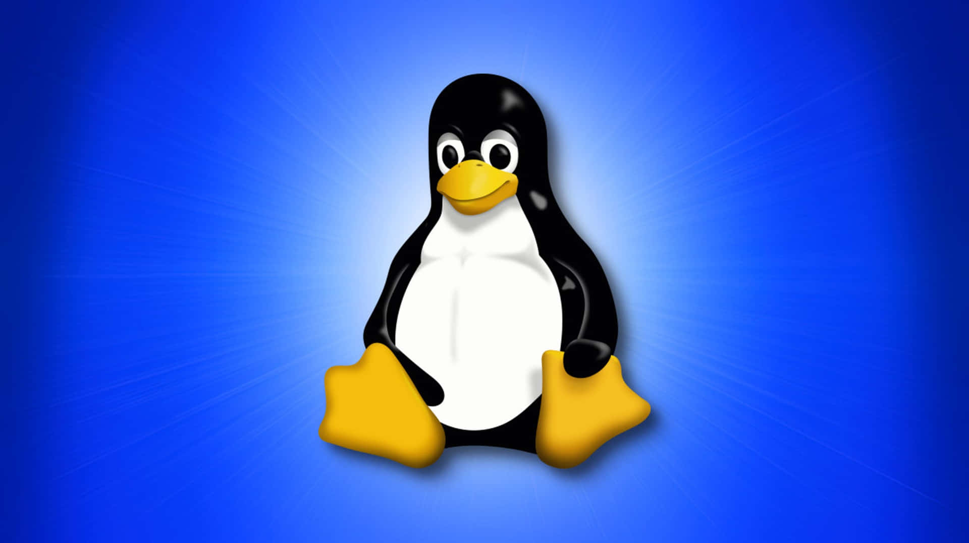 "Not Your Regular Operating System: Linux"