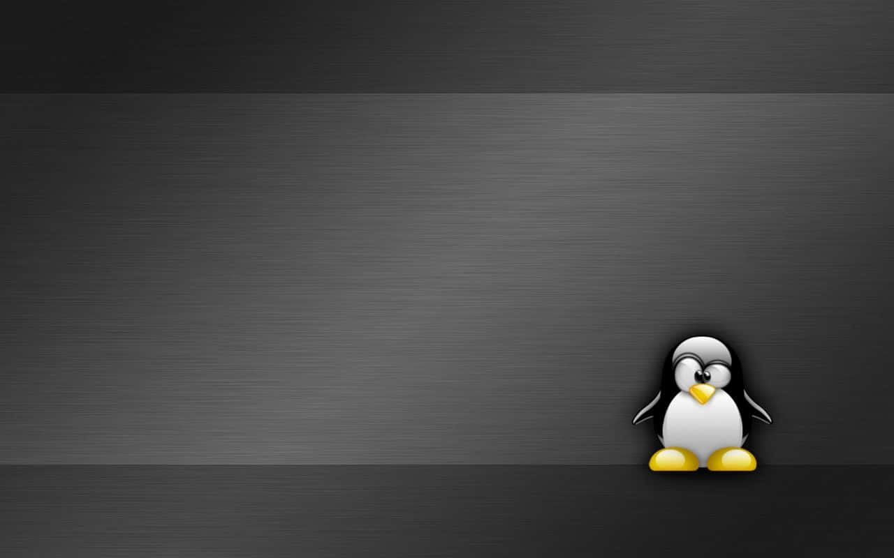 Einblick In Die Welt Von Linux
