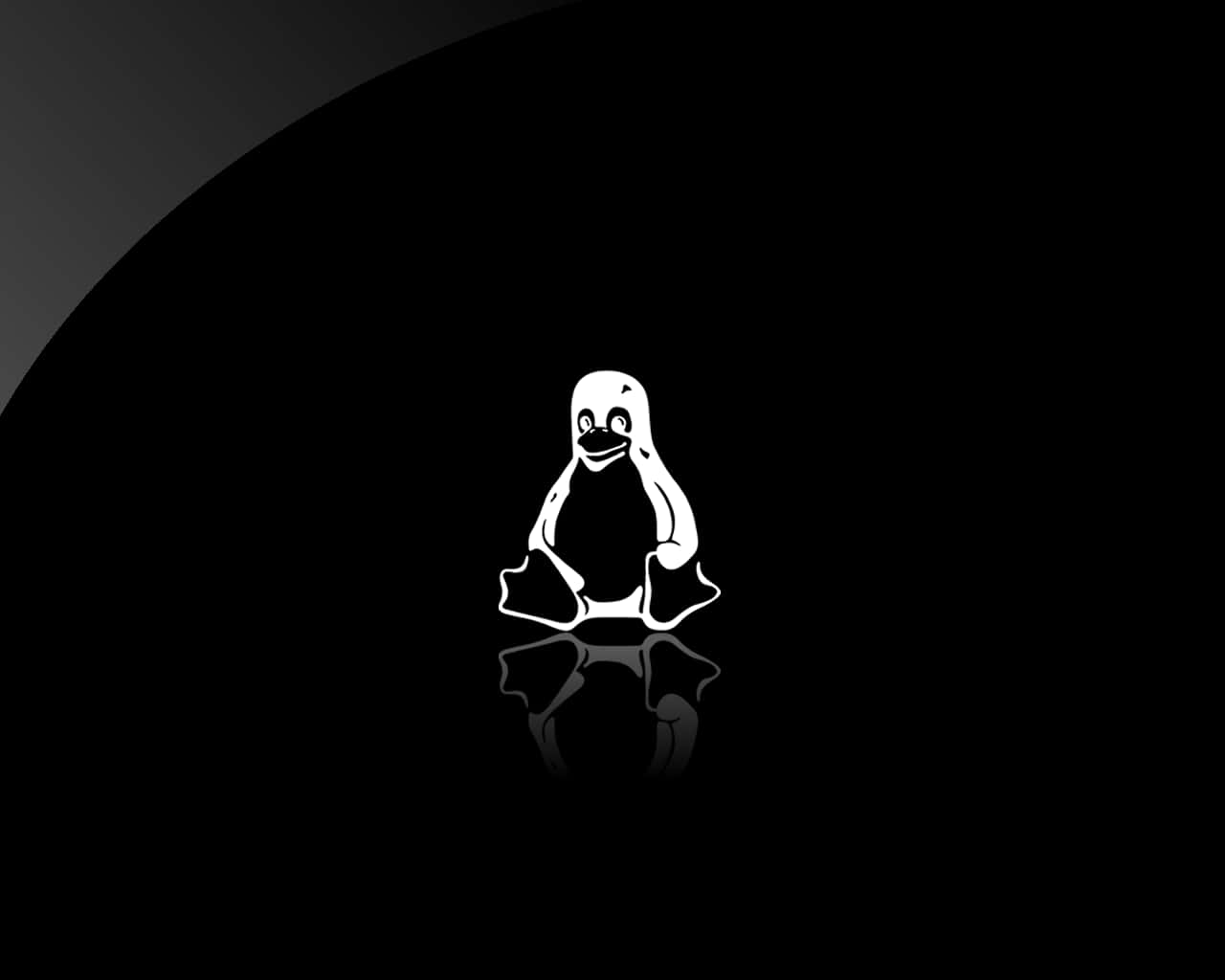 A Penguin Logo On A Black Background