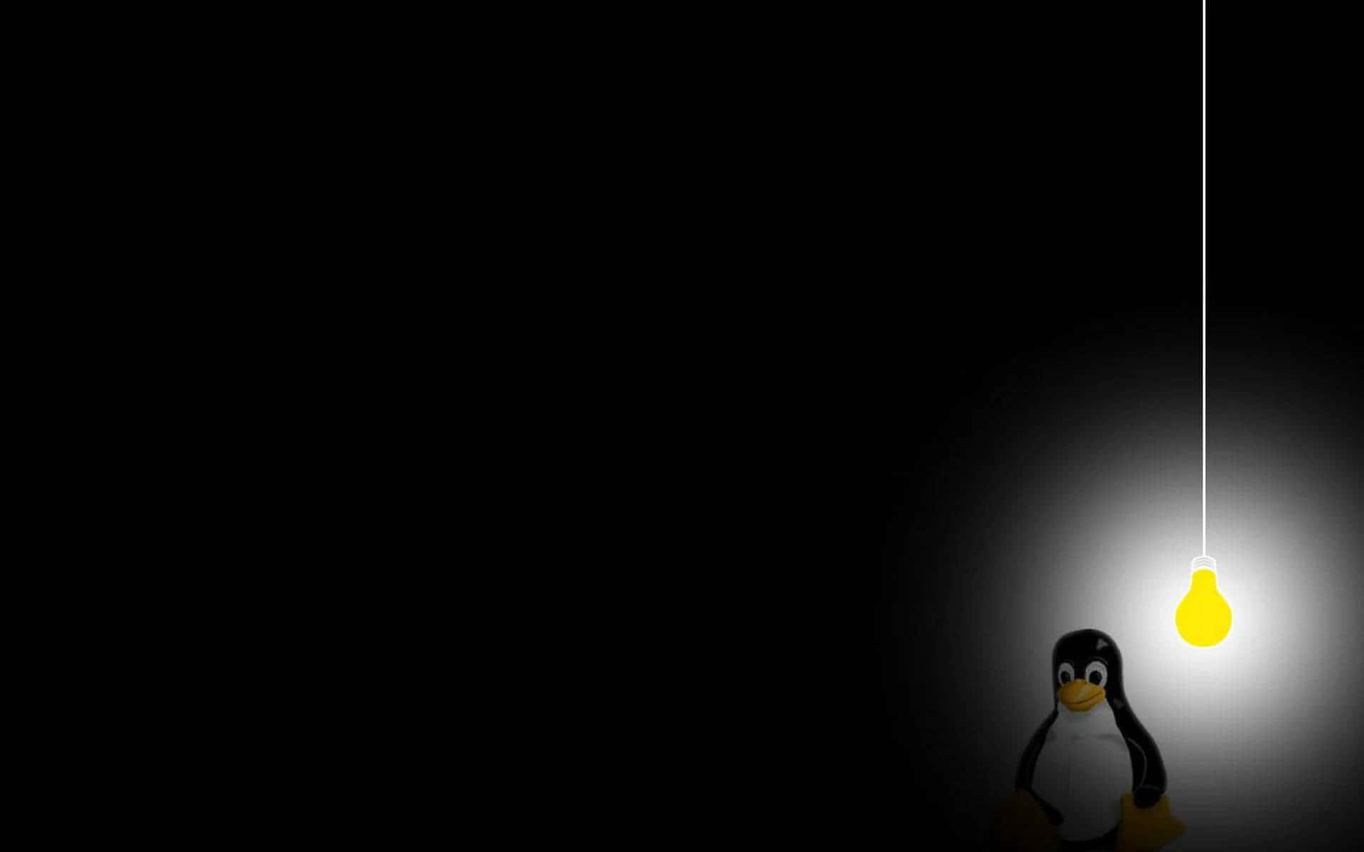 Penguin With Light Bulb In The Dark