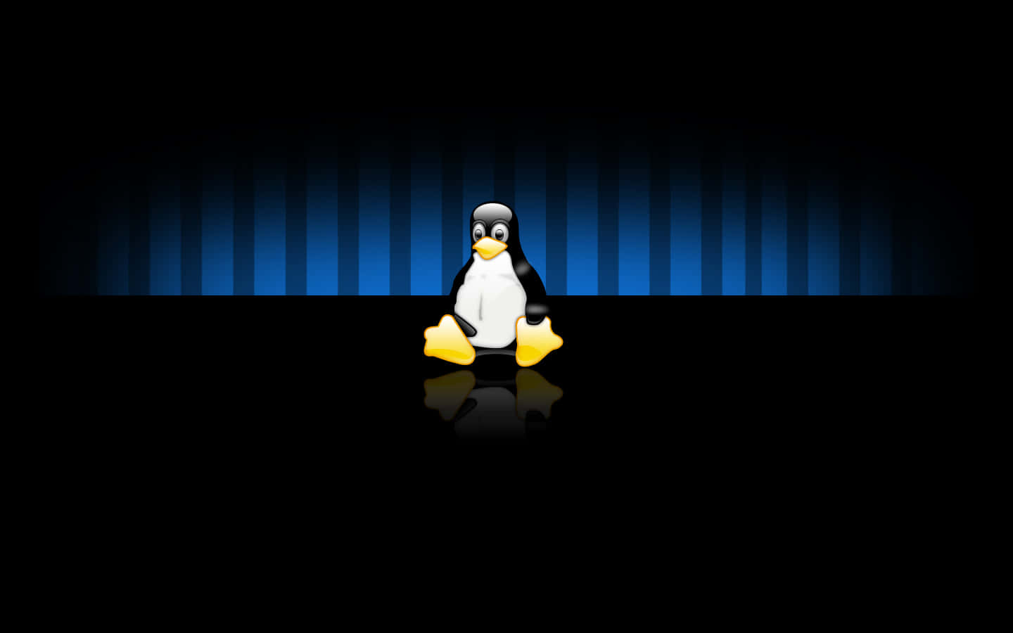 A Penguin Standing On A Black Background