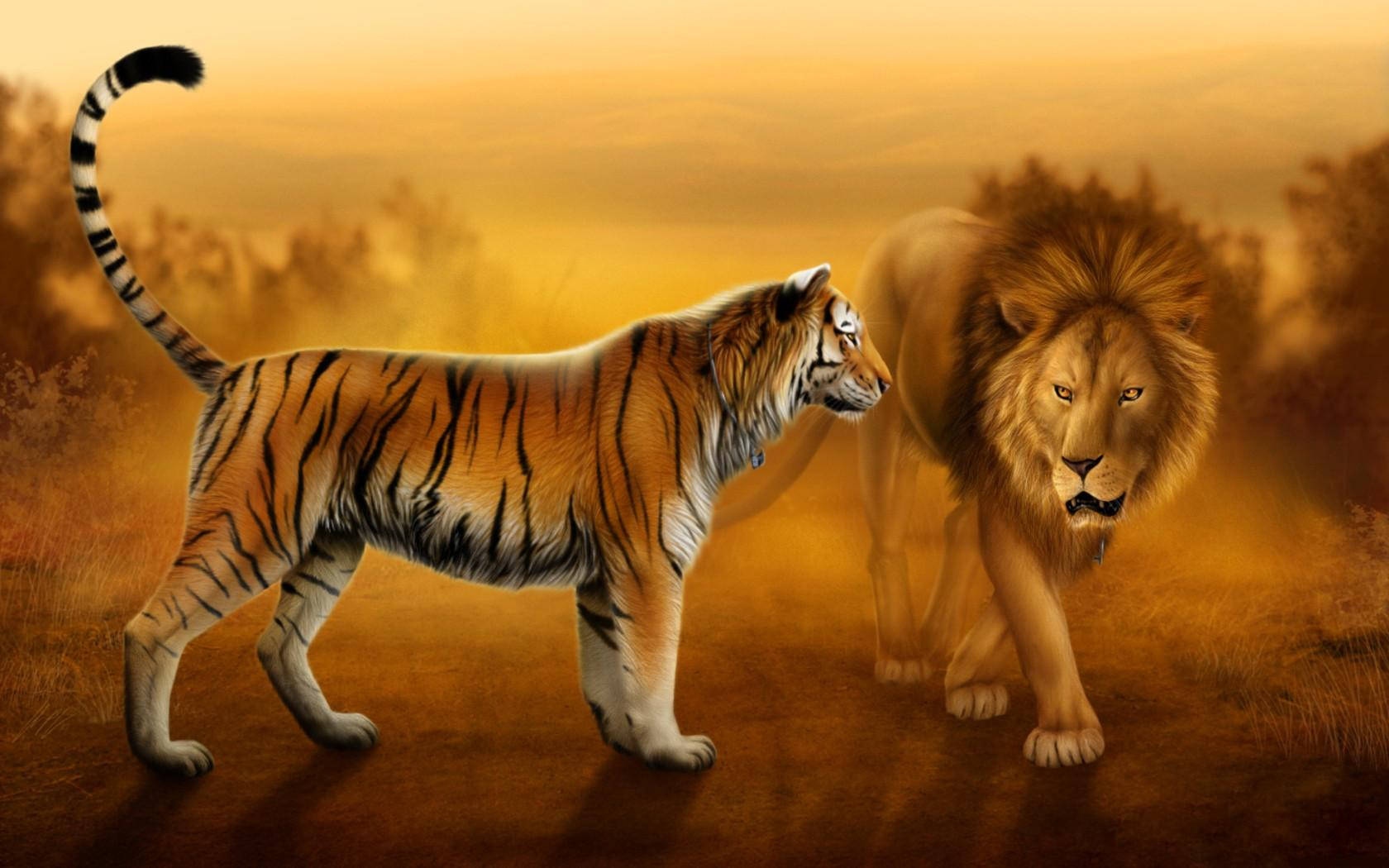Lion And Tiger Art Wallpaper
