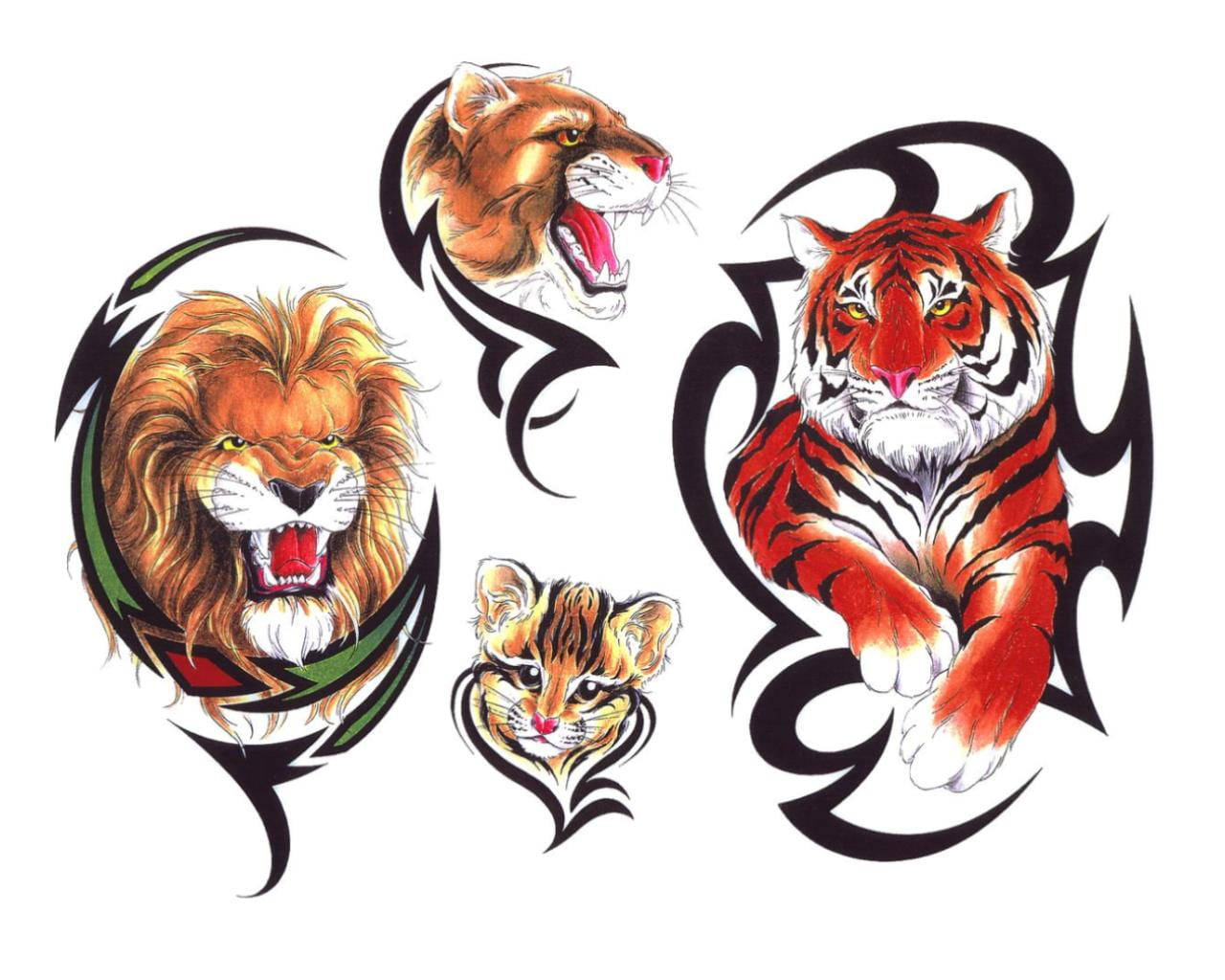 Lion And Tiger Illustrations Wallpaper