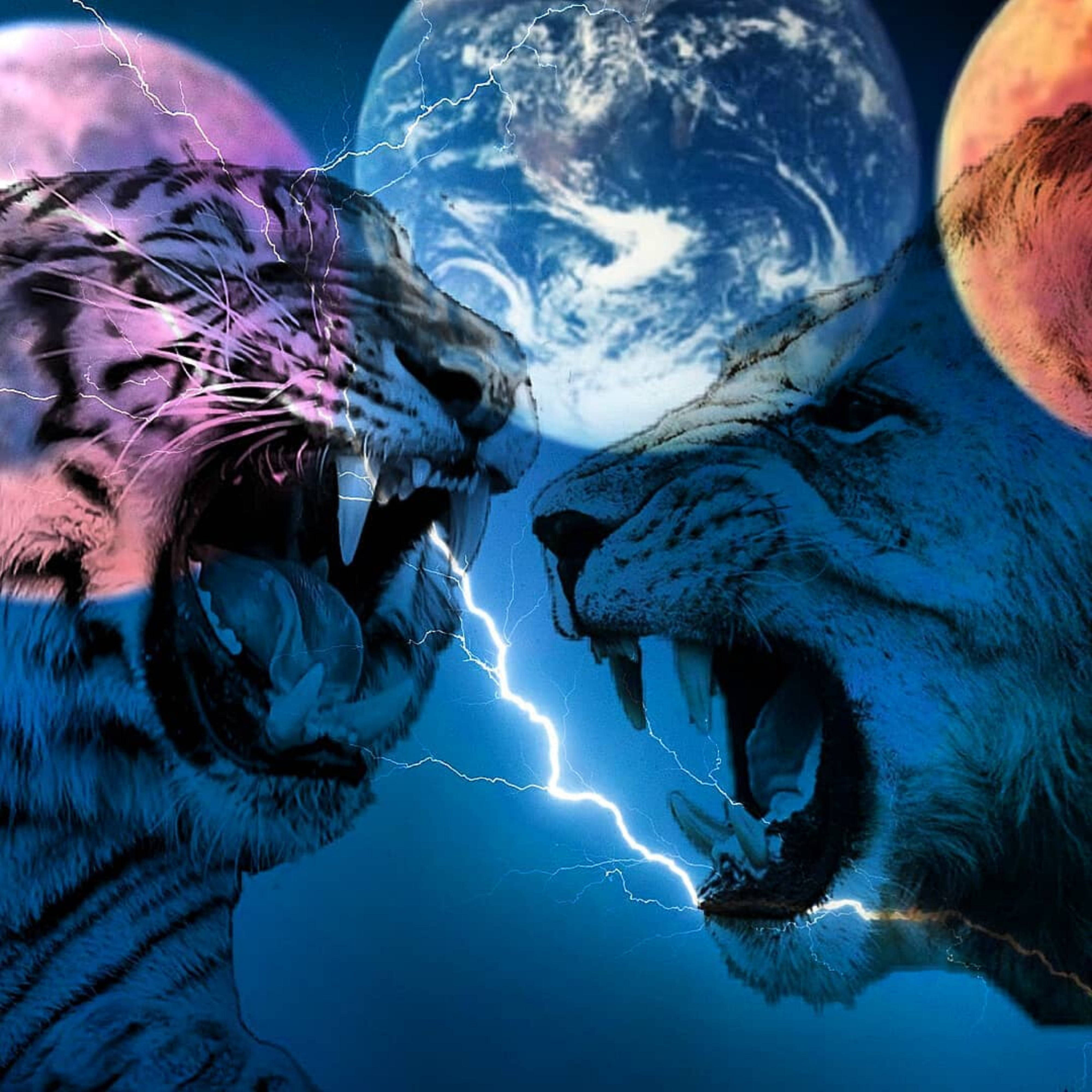 Lion And Tiger Planets Background