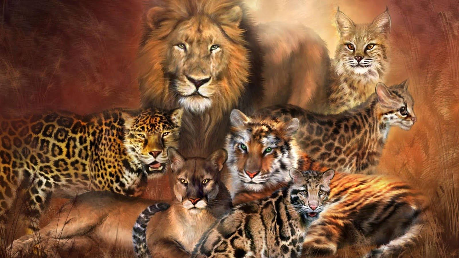 Lion And Tiger Variations Wallpaper