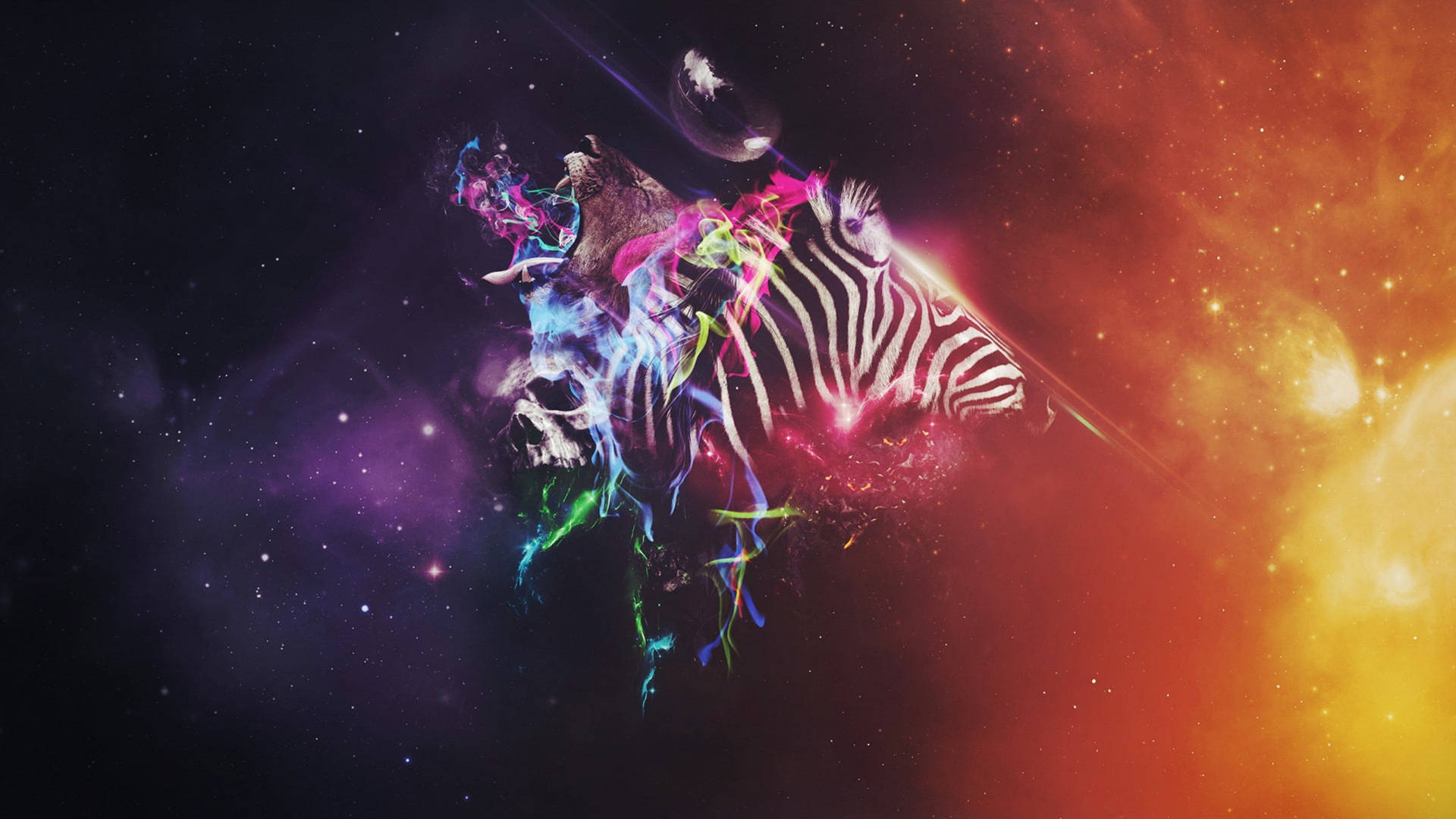 Lion And Zebra Digital Art Wallpaper