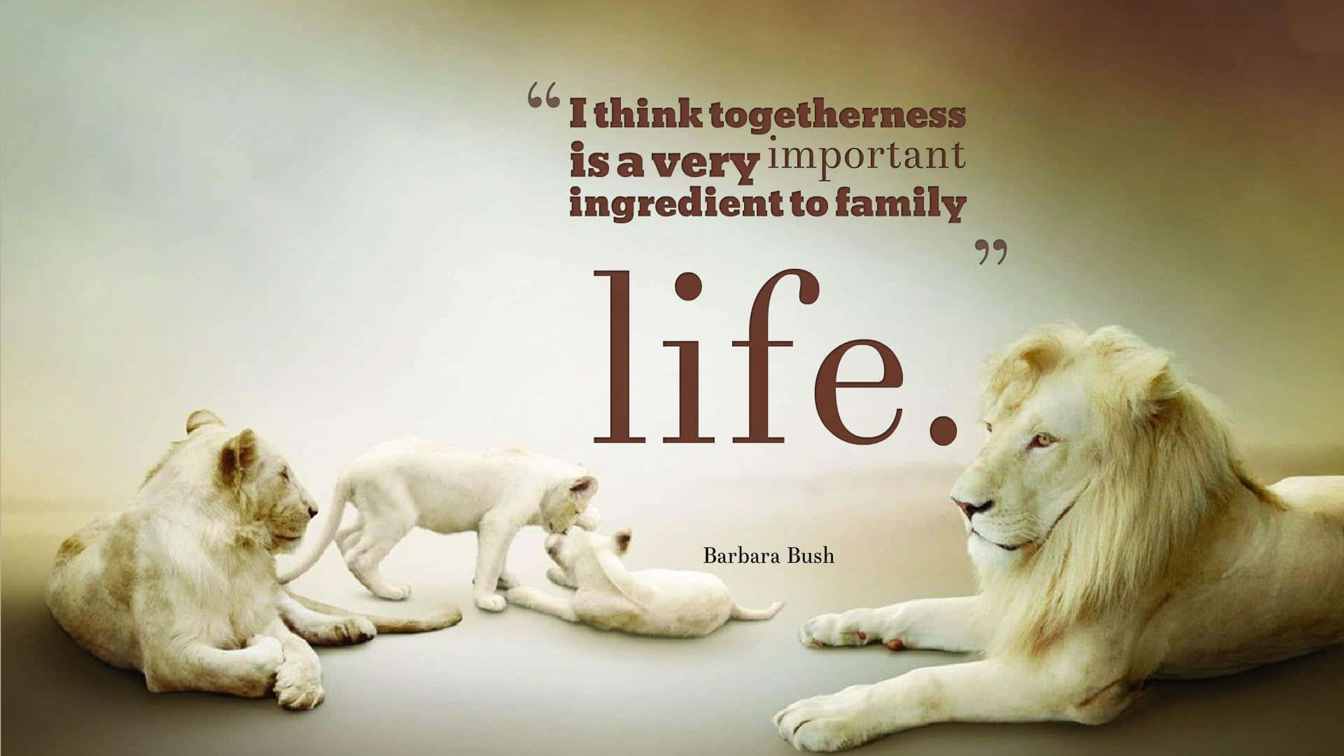 Lion Family Togetherness Quote Wallpaper