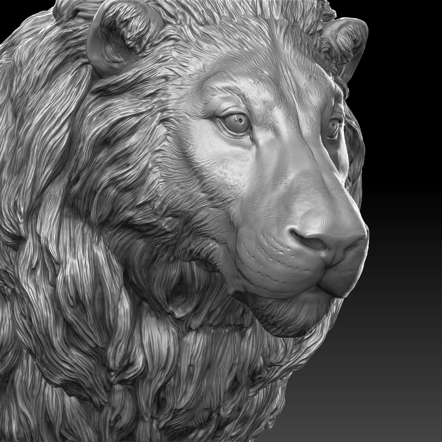 Lion 3d model для ровера