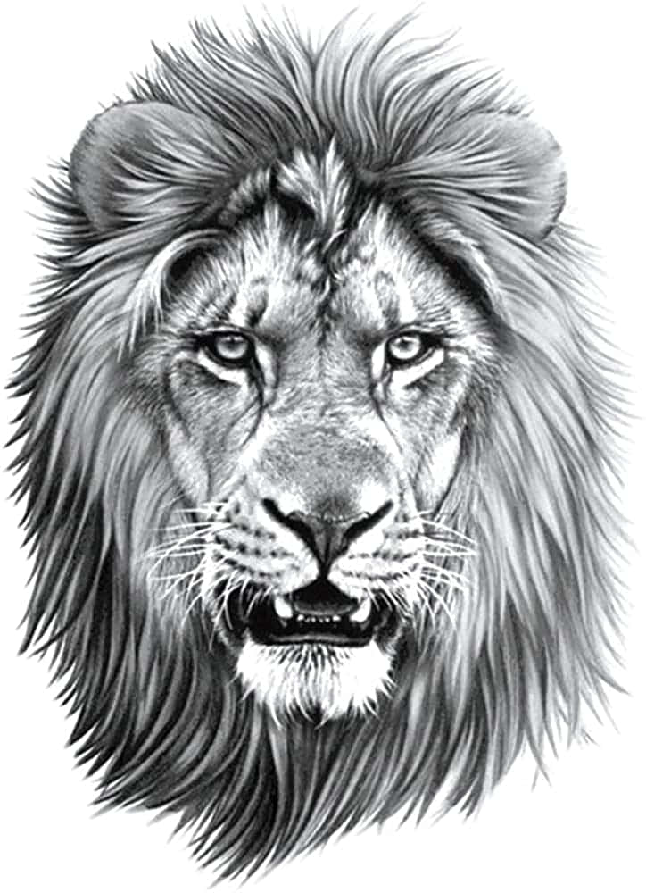 Premium Vector  Lion head tattoo