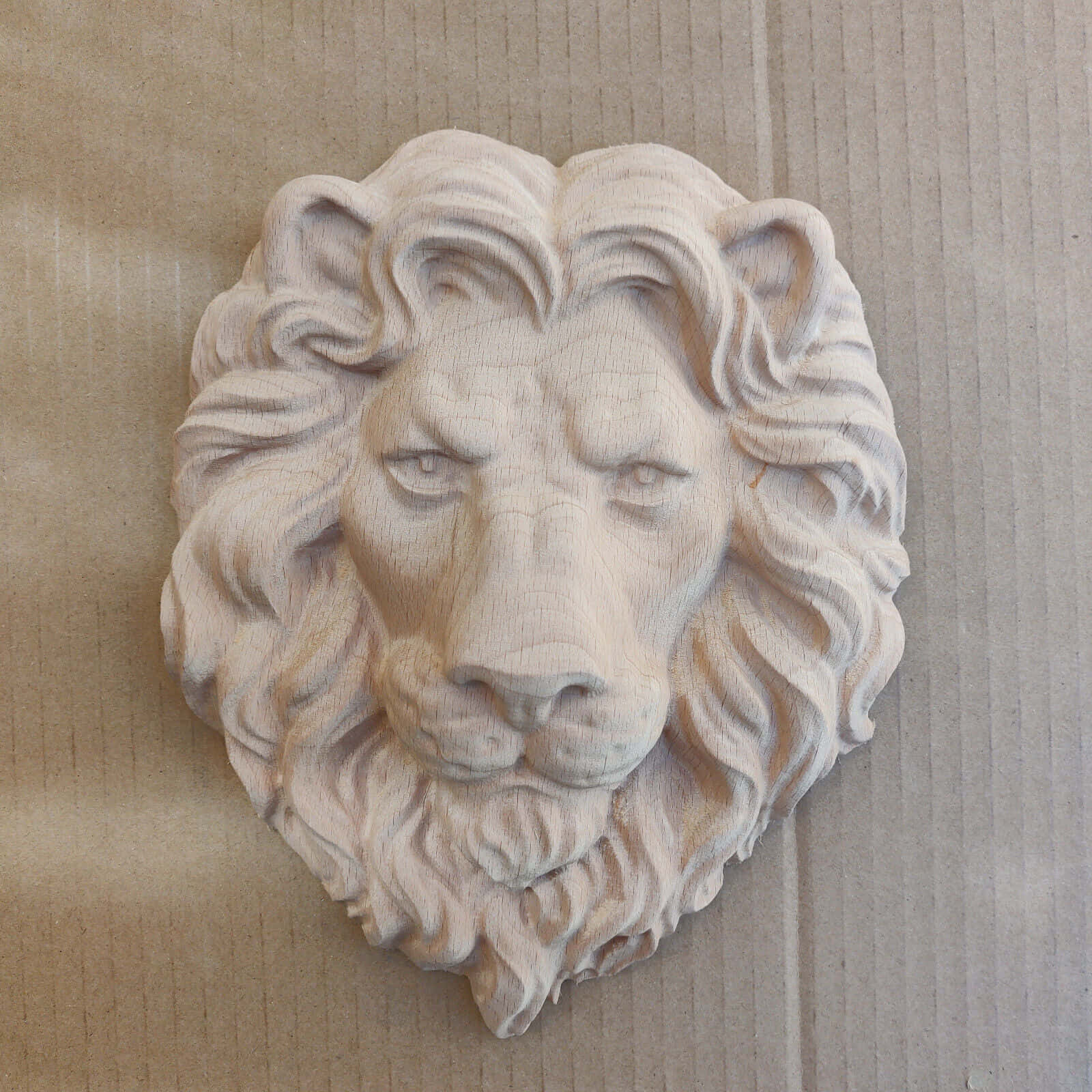 Closeup of a Majestic Lion Head