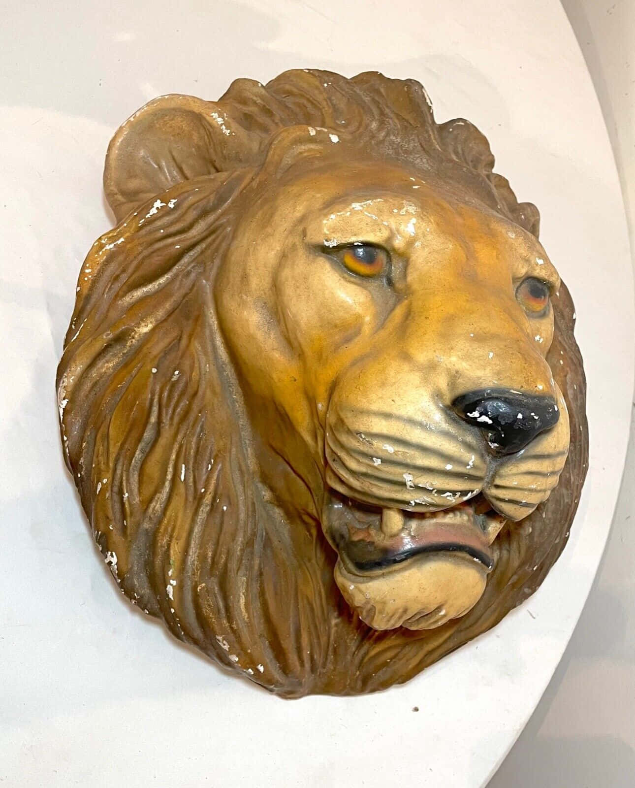 Lion Head Closeup