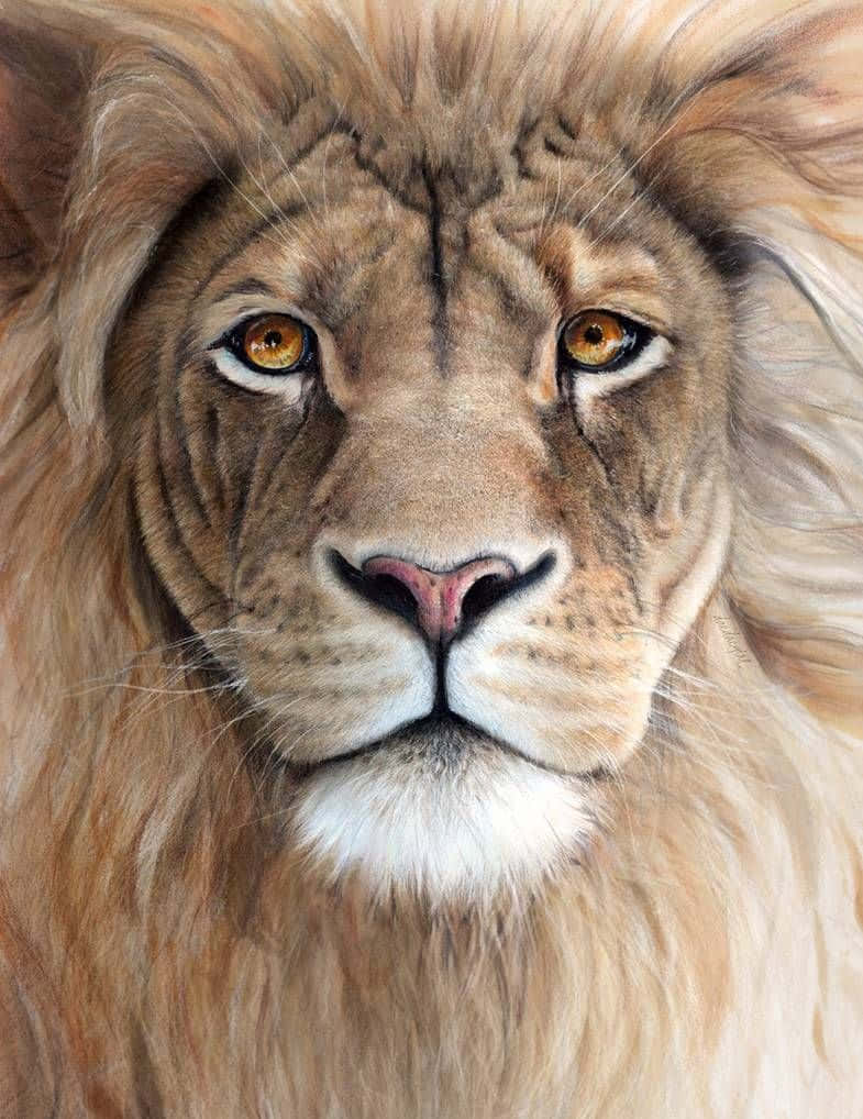 The Majestic Lion Head