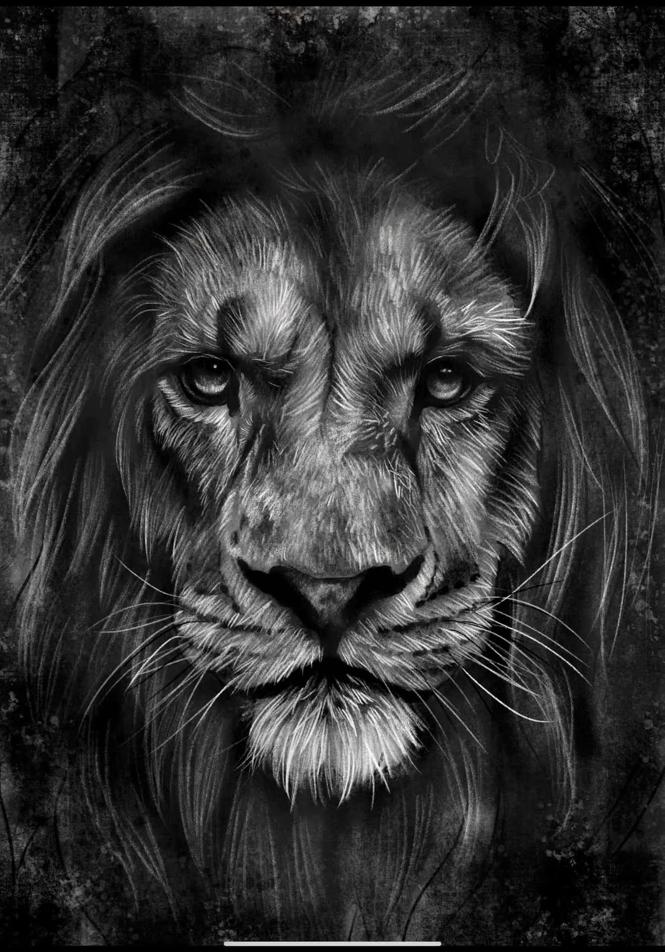 A Black And White Drawing Of A Lion
