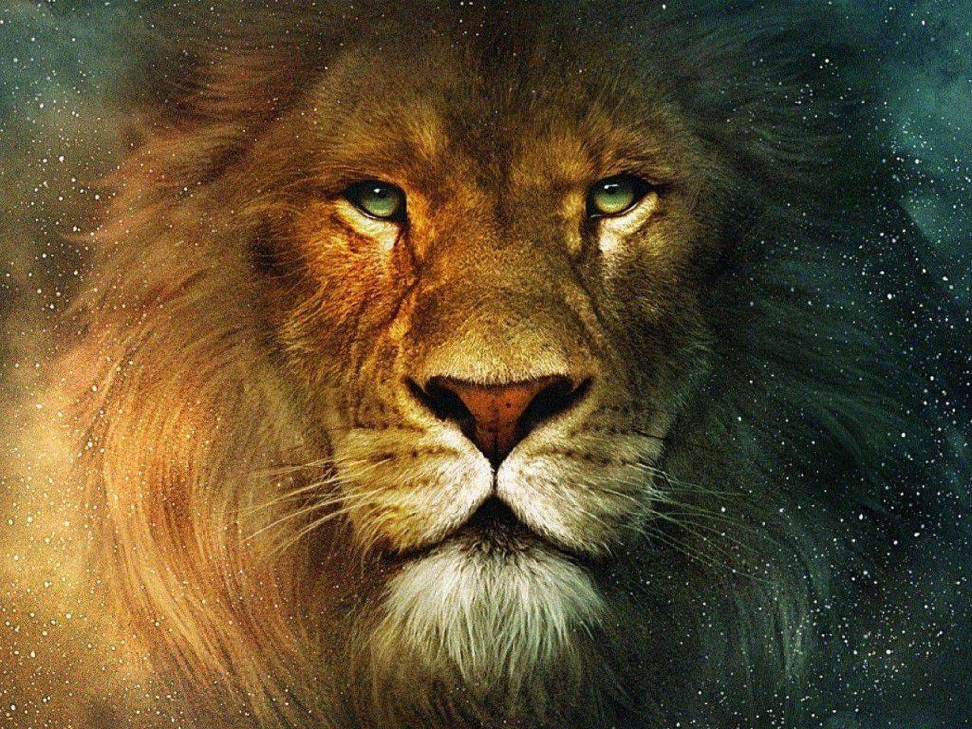 Løvehoved Med Natstjerner Wallpaper