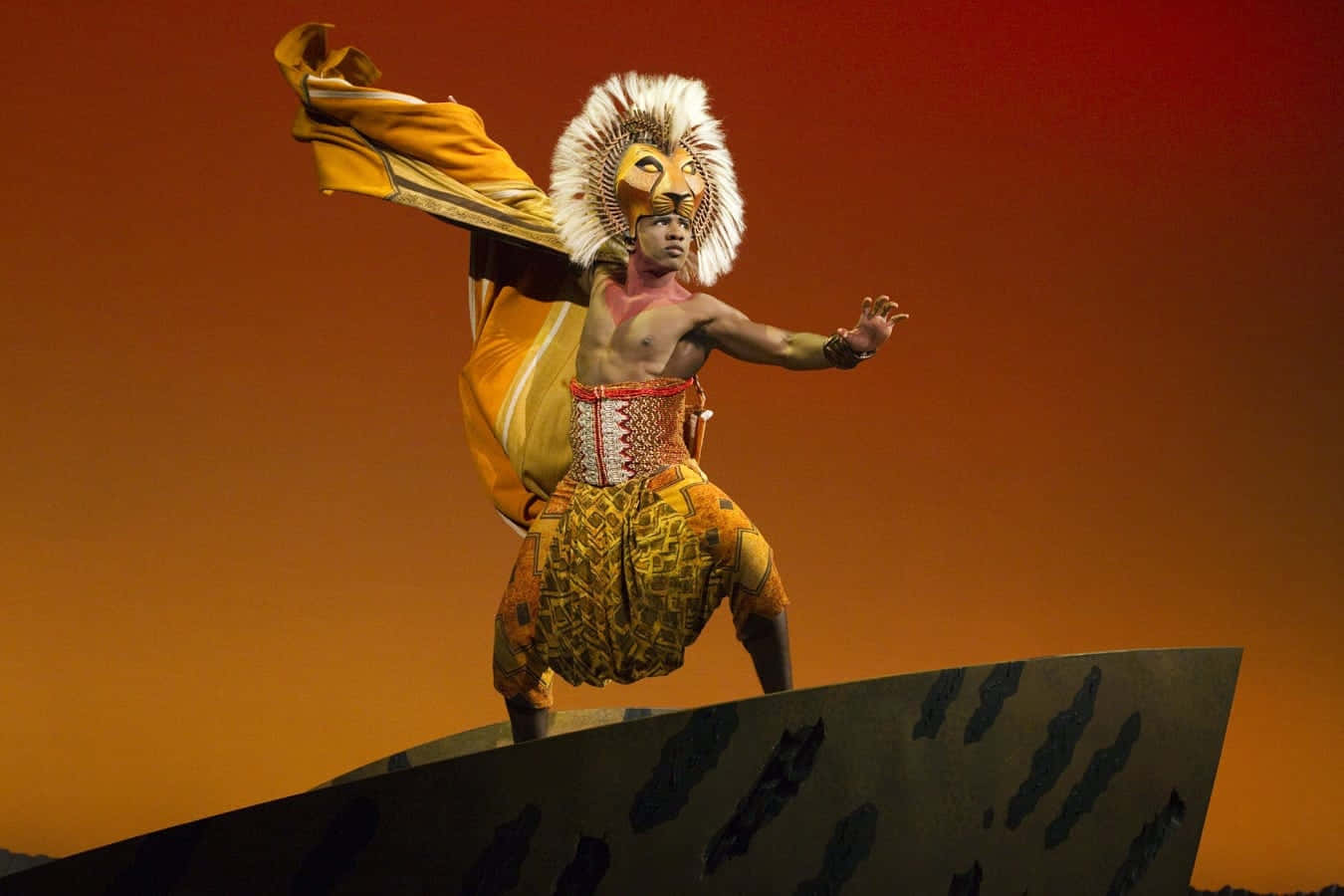 "Unlock the power of the Circle of Life with the Lion King Aesthetic." Wallpaper