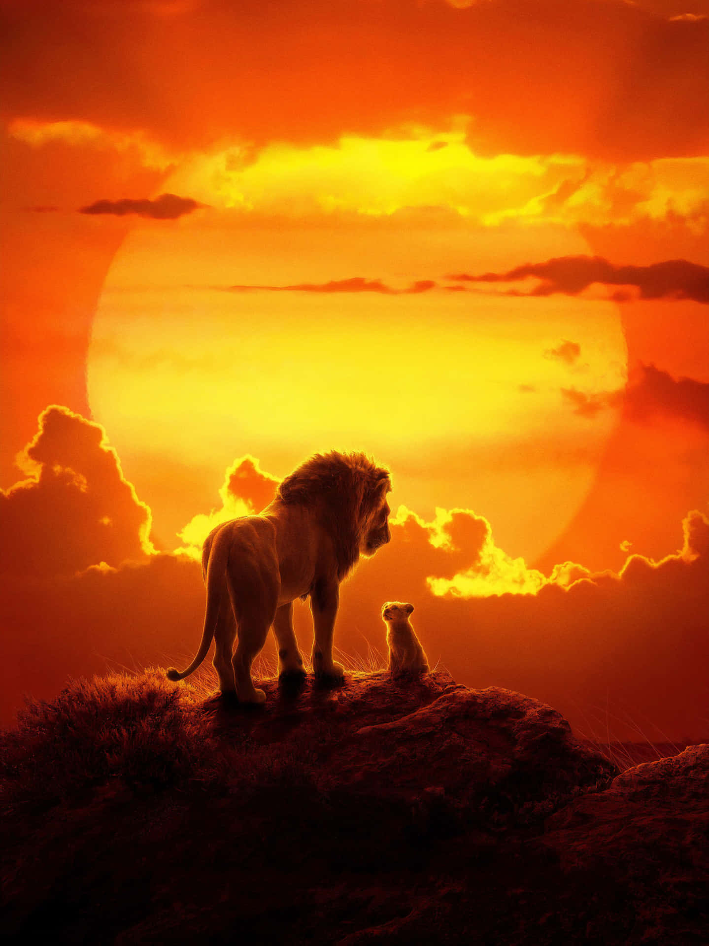 The majestic beauty of the lion king Wallpaper