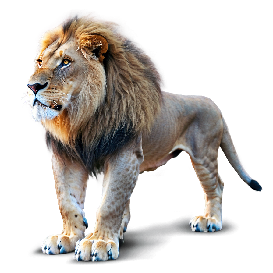 Lion King Of Beasts Png Pen1 PNG