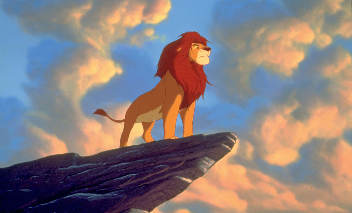 The Lion King Simba Picture