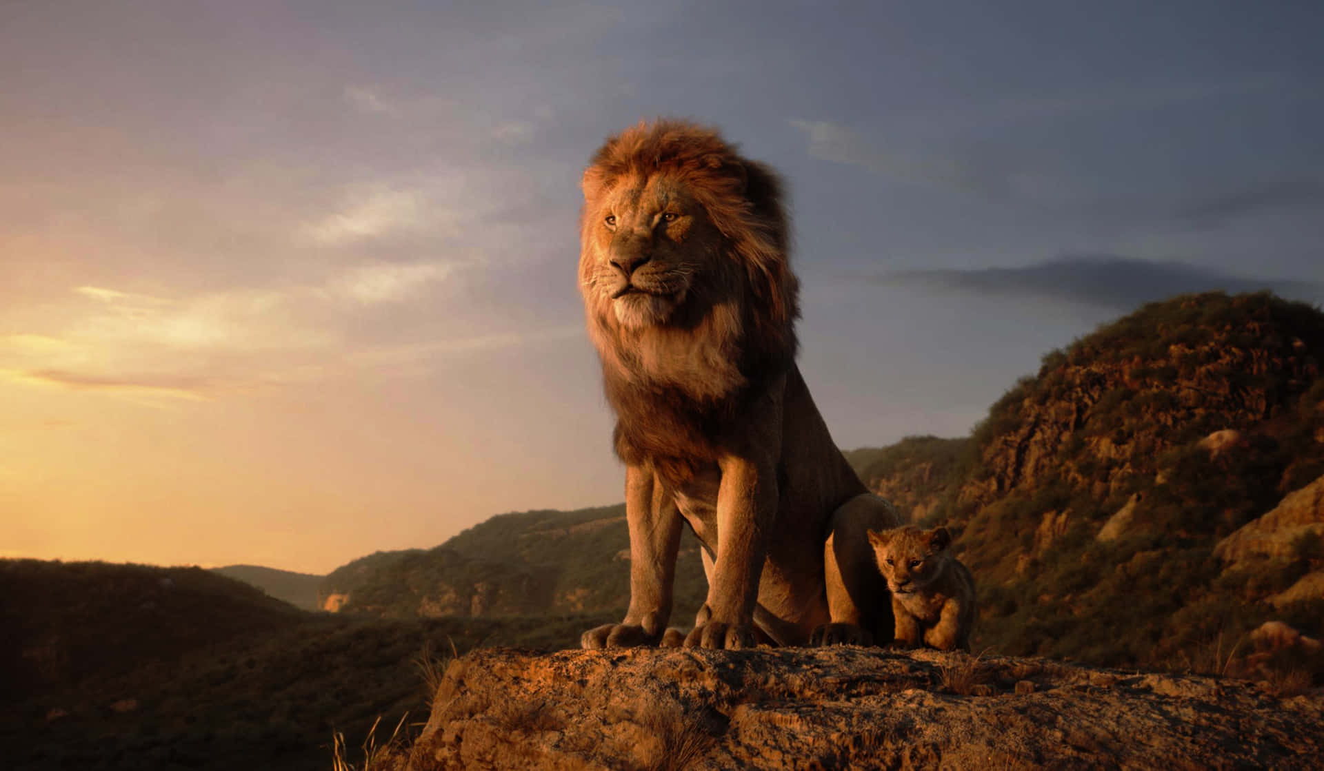 2019 Løvekongen Billede Tapet til iPhone