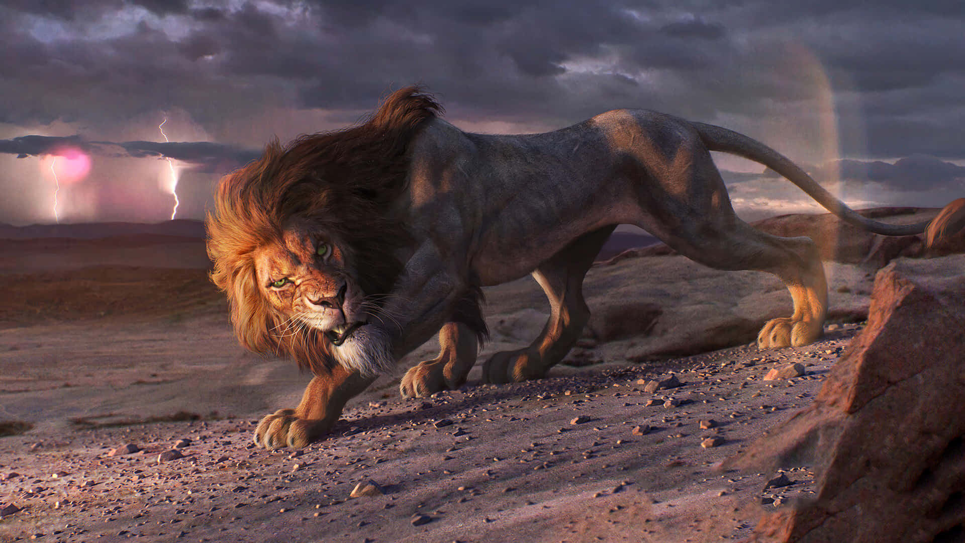 3D billede af vred lion konge væg tapet