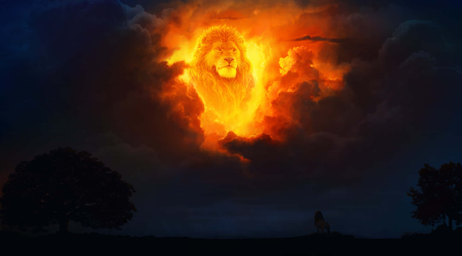 Fiery Lion King Picture