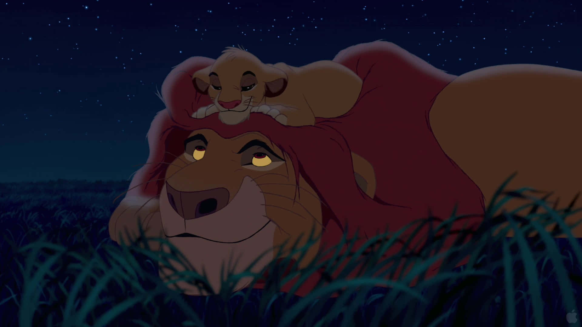 Lion King Night Sky Picture