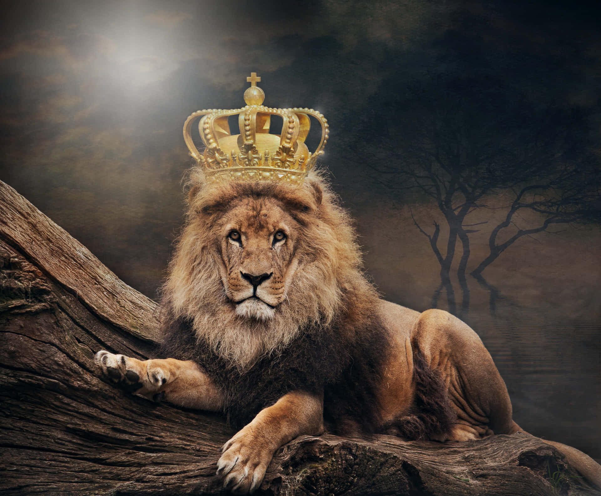 Løvekongens Krone Billede Tapet