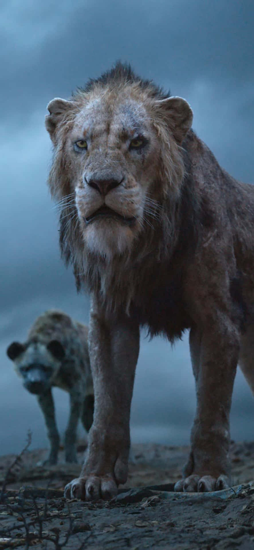 Bildscar, Der Bösewicht Aus Disneys Der König Der Löwen. Wallpaper